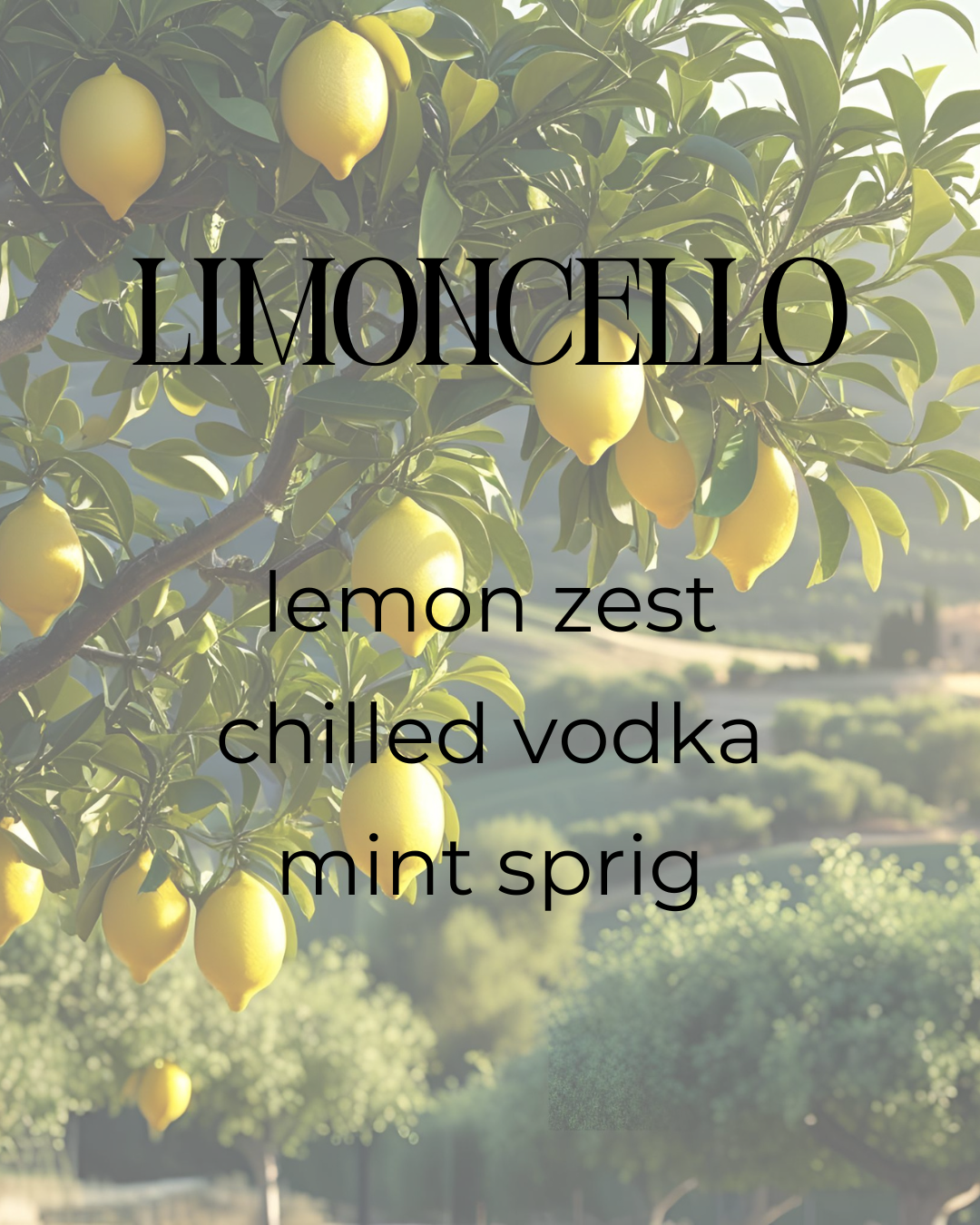 Limoncello | Soy Candle | lemon zest + chilled vodka