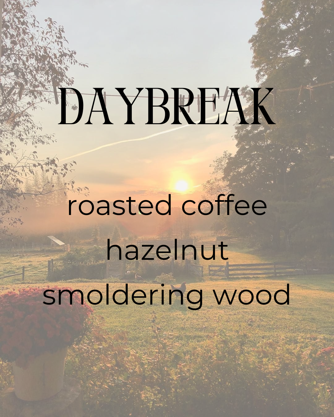 Daybreak | Soy Candle | roasted coffee + hazlenut