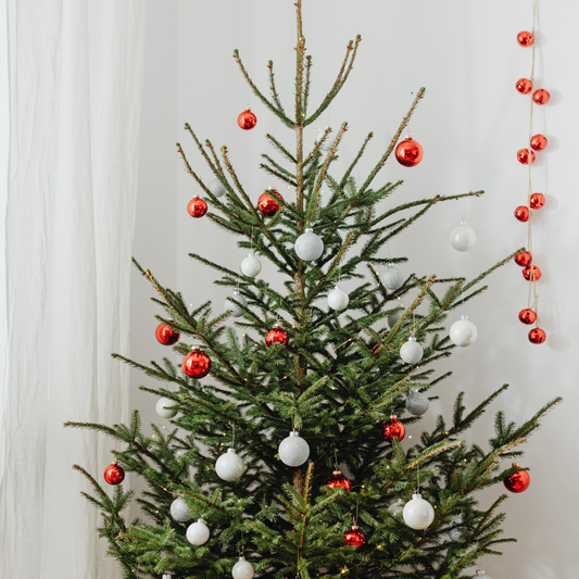 O' Christmas Tree | Soy Candle | Fresh Balsam + Snow