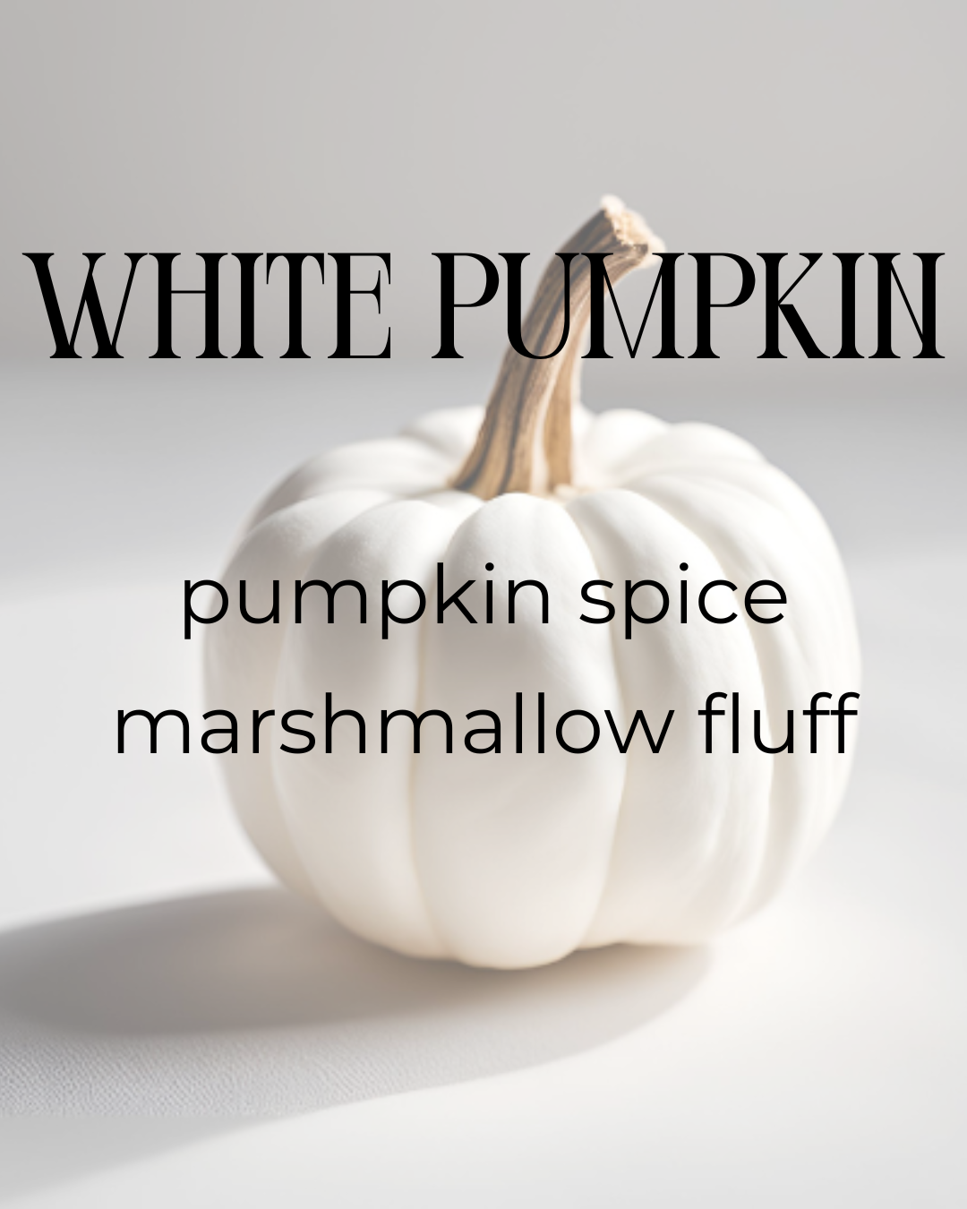White Pumpkin | Soy Candle | pumpkin + marshmallow